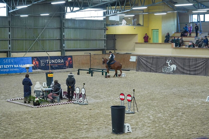Na Partynicach rozgrywano Mistrzostwa Polski w Working Equitation.