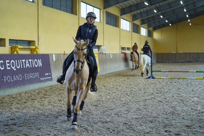 Na Partynicach rozgrywano Mistrzostwa Polski w Working Equitation.