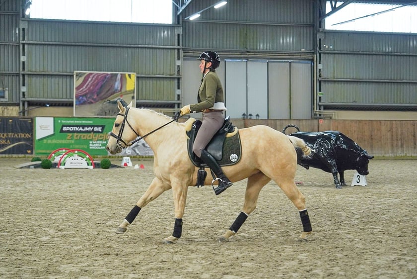 Na Partynicach rozgrywano Mistrzostwa Polski w Working Equitation.