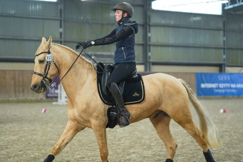 Na Partynicach rozgrywano Mistrzostwa Polski w Working Equitation.