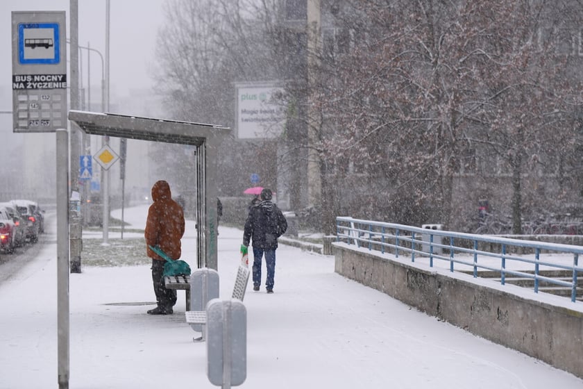 Pierwszy śnieg we Wrocławiu, 24.11.2025