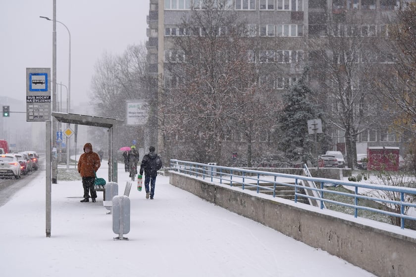 Pierwszy śnieg we Wrocławiu, 24.11.2025