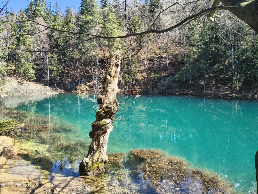 Kolorowe Jeziorka w Rudawach Janowickich