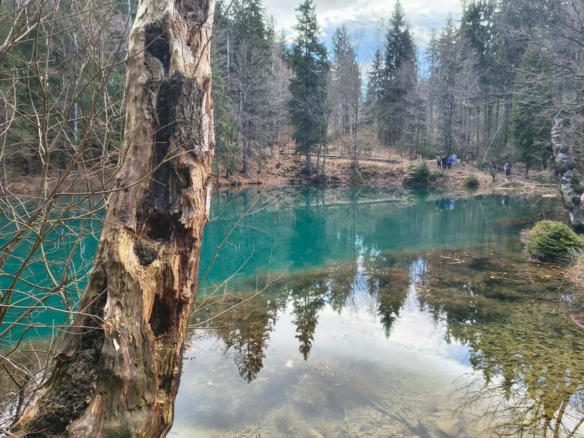 Kolorowe Jeziorka w Rudawach Janowickich