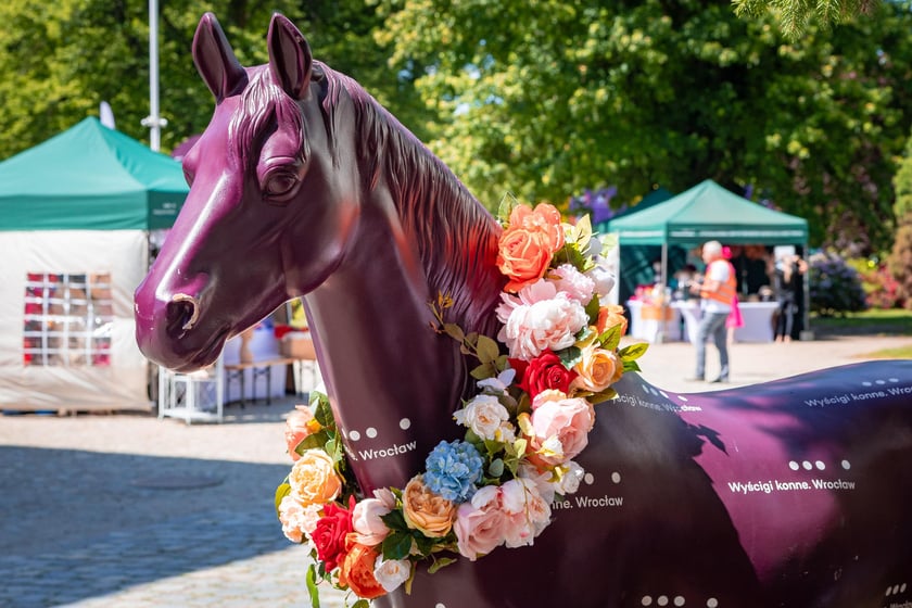 Ladies Day na Partynicach - 4.06.2026 r.