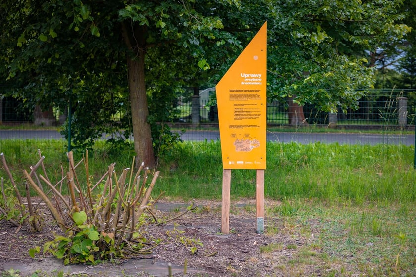 Farma Miejska Wrocław. Otwarcie strefy edukacyjnej na Farmie Miejskiej Wrocław