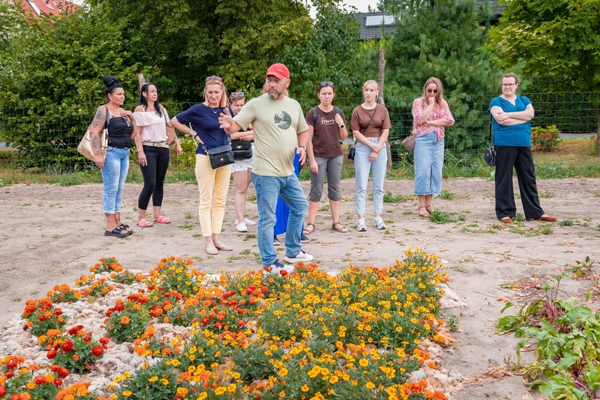 Farma Miejska Wrocław. Pierwsze tegoroczne zbiory trafiły do przedszkoli i żłobków