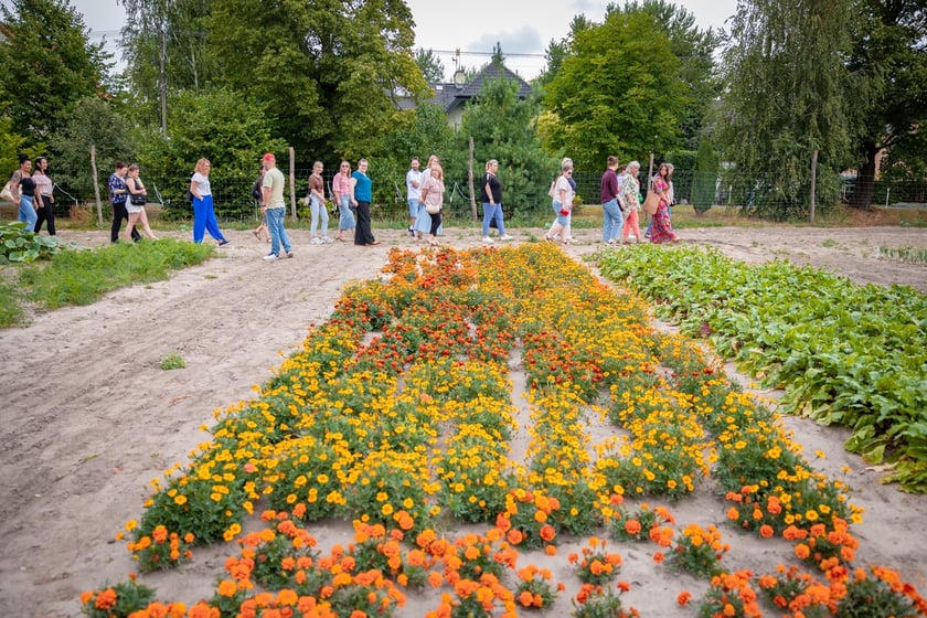 Farma Miejska Wrocław. Pierwsze tegoroczne zbiory trafiły do przedszkoli i żłobków