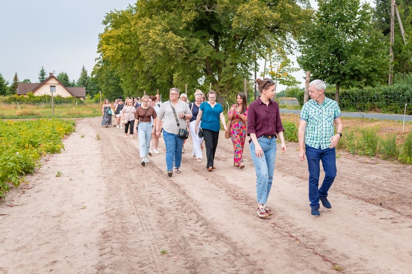 Farma Miejska Wrocław. Pierwsze tegoroczne zbiory trafiły do przedszkoli i żłobków