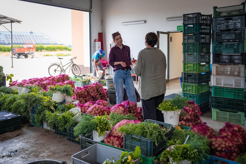Farma Miejska Wrocław. Pierwsze tegoroczne zbiory trafiły do przedszkoli i żłobków
