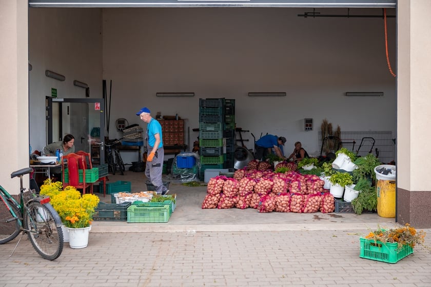 Farma Miejska Wrocław. Pierwsze tegoroczne zbiory trafiły do przedszkoli i żłobków