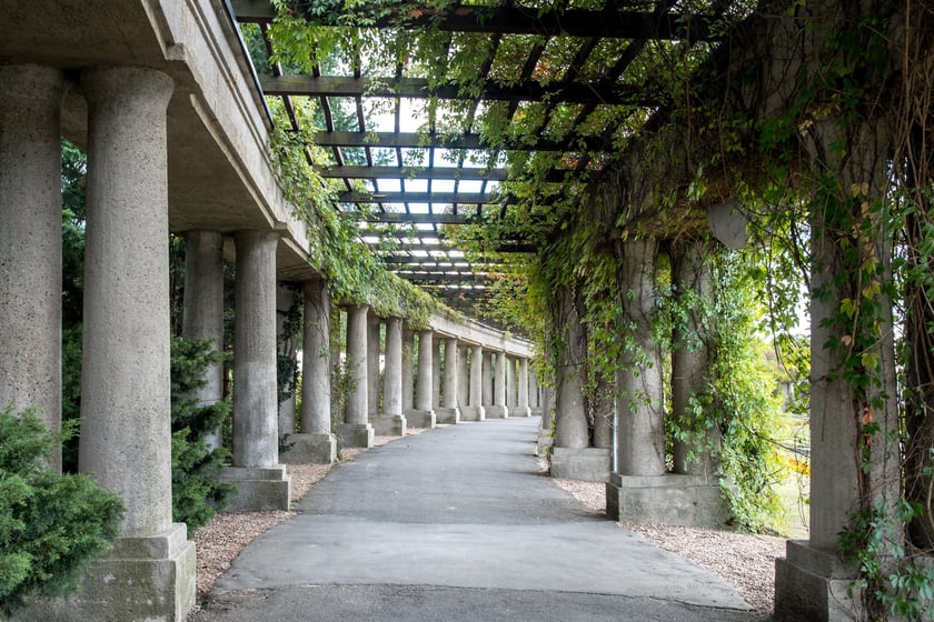Pergola ma kształt połowy elipsy. Jej długość wynosi 640 metrów i tworzy ją 750 kolumn. Została zbudowana w 1913 roku przez niemieckiego architekta Hansa Poelziga.