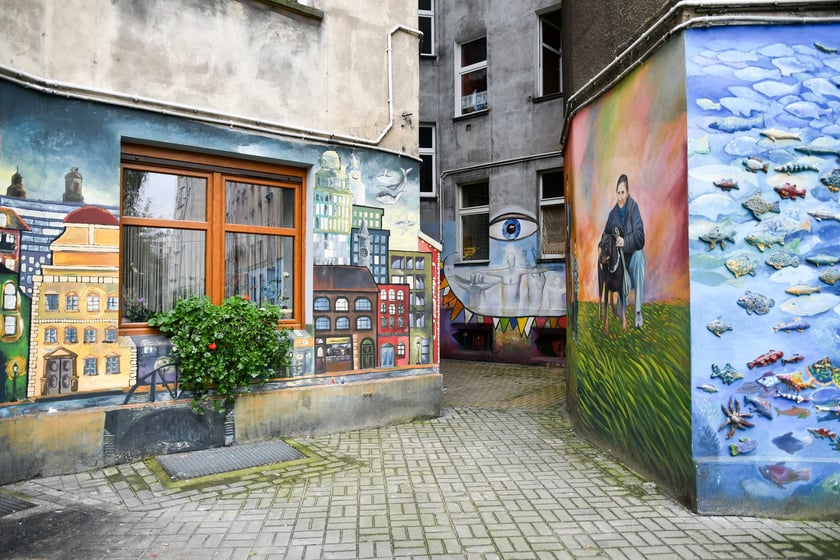 Kolorowe podwórko przy ul. Roosevelta 20 cieszy się coraz większą popularnością. Murale na ścianach przedstawiają zwierzęta, postacie historyczne czy rajskie ogrody. W środku umieszczona jest także rzeźba ogromnego kota. Jest to projekt mieszkańców osiedla Nadodrze, a także artystów z Ośrodka Kulturalnej Animacji Podwórkowej. Warto przyjść tu na spacer.