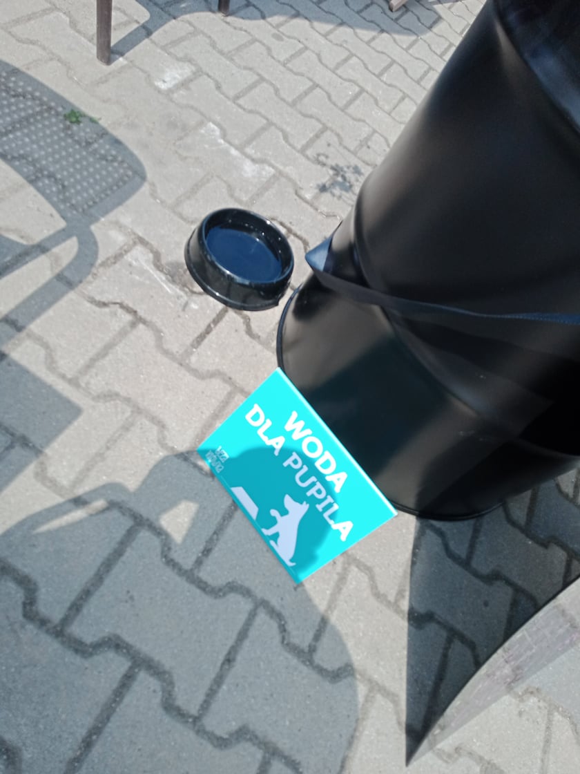 W lodziarni Conana znajdzie się też cos dla piesków
