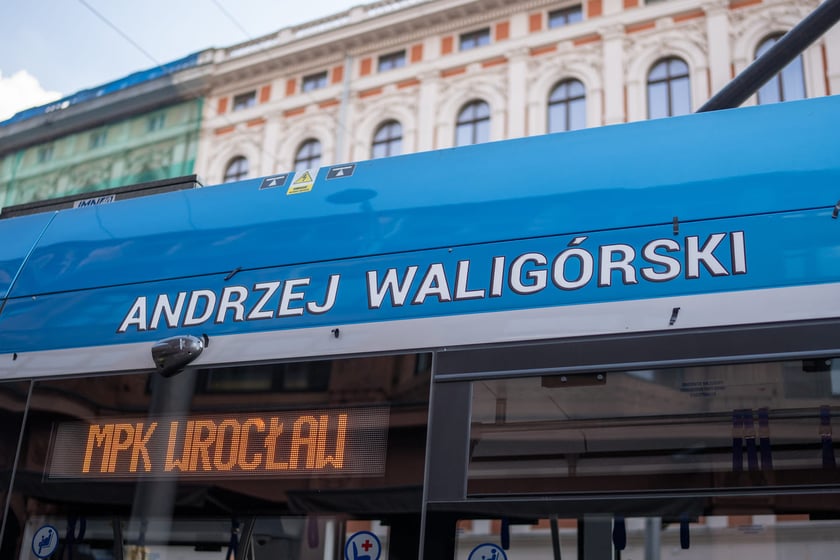 Wrocław pamięta o Andrzeju Waligórskim: tramwaj jego imienia i  wrocławski krasnal, 26.06.2022 r.
