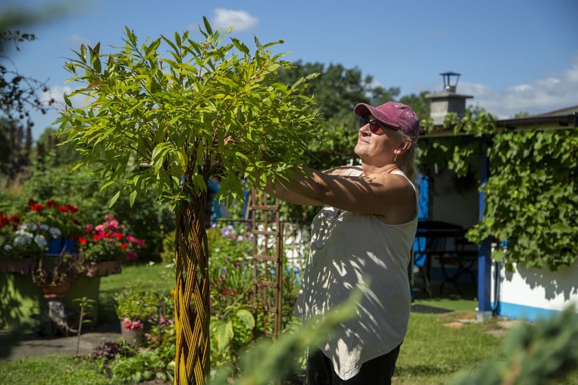 Własny ogródek działkowy to świetne miejsce do wypoczynku oraz uprawy warzyw i owoców