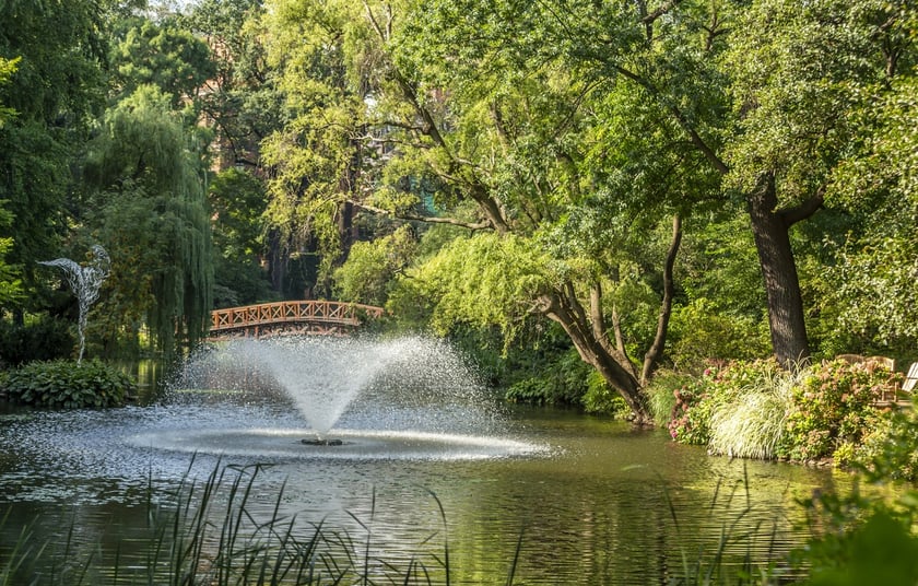 W Ogrodzie Botanicznym we Wrocławiu rośnie mnóstwo ciekawych roślin