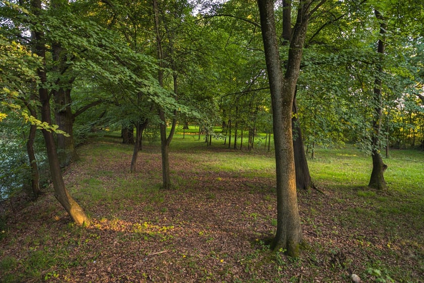 Dwór w Komorowicach pod Wrocławiem leży nad rzeką Ślęzą