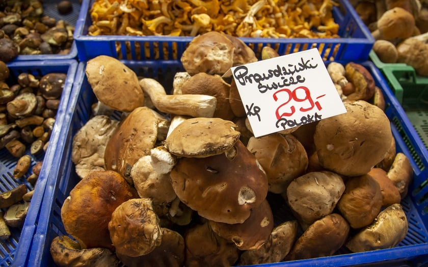 Stragany z grzybami w Hali Targowej we Wrocławiu