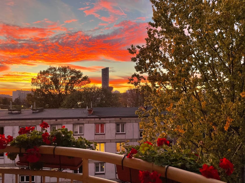 Różowe niebo nad Wrocławiem