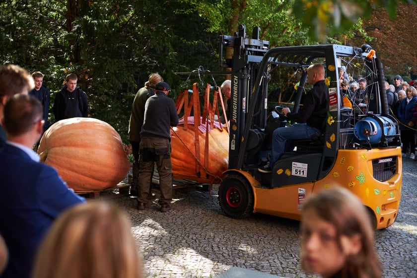 Dolnośląski Festiwal Dyni 2022 w Ogrodzie Botanicznym ? działo się!