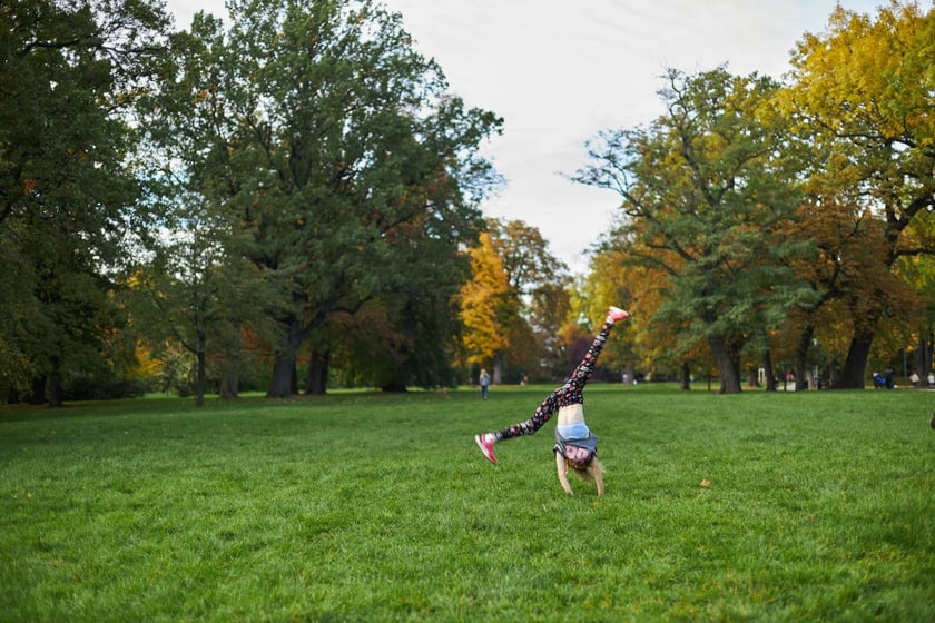 Park Kleciński we Wrocławiu