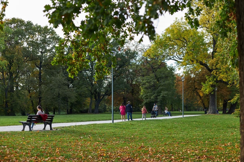 Park Kleciński we Wrocławiu