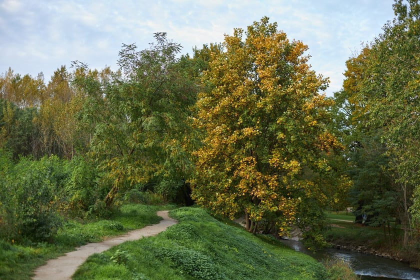 Park Kleciński we Wrocławiu