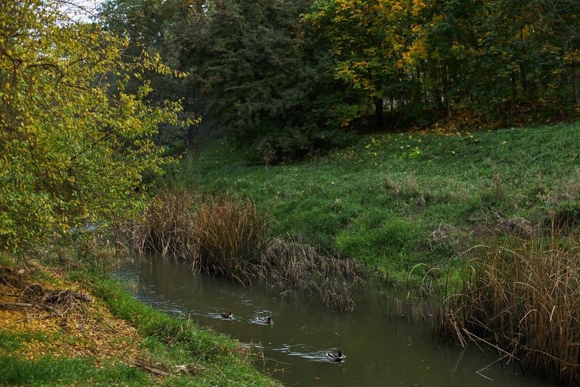 Park Kleciński we Wrocławiu