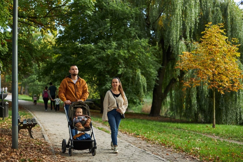 Park Kleciński we Wrocławiu