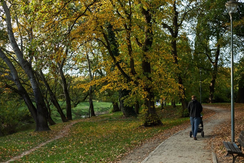 Park Kleciński we Wrocławiu