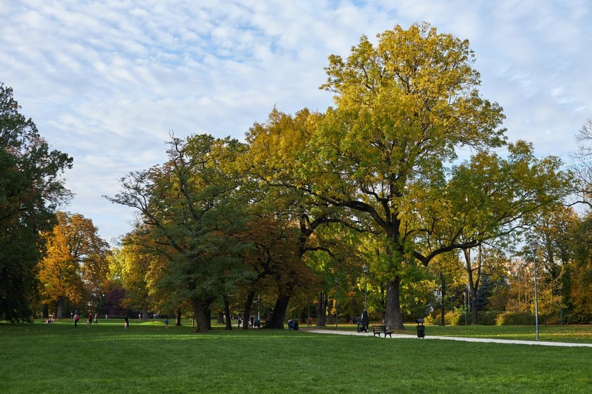 Park Kleciński we Wrocławiu