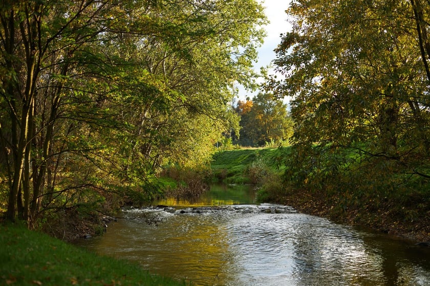Park Kleciński we Wrocławiu