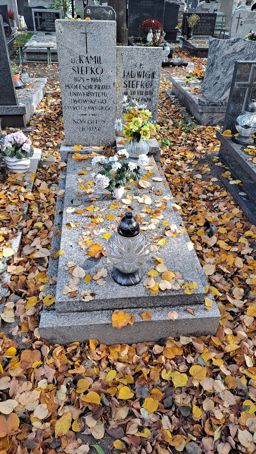 Prof. Kamil Stefko, prawnik, spoczywa na cmentarzu przy ul. Bujwida