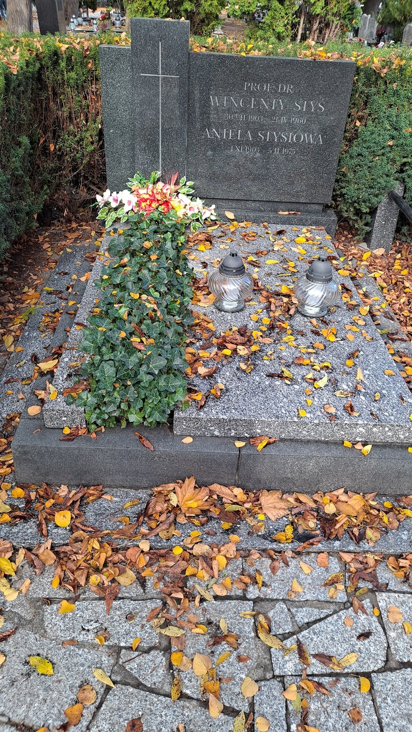 Wincenty Styś, ekonomista, spoczywa na cmentarzu przy ul. Bujwida