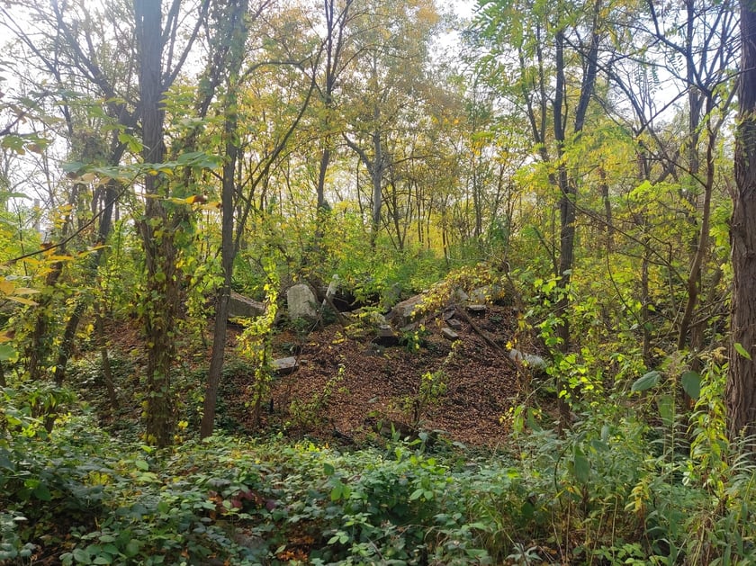 Zagajnik przy ul. Duńskiej we Wrocławiu. Hałda z nagrobkami - rok 2023