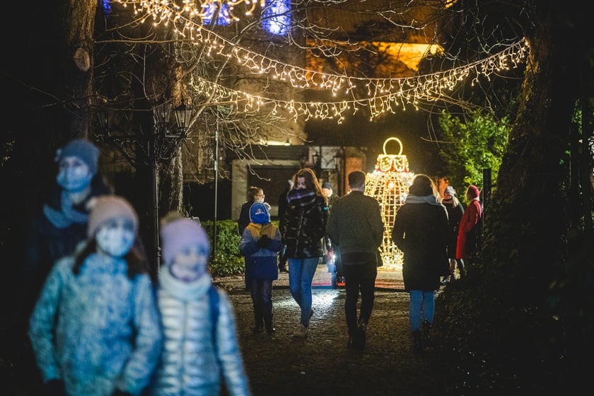 Na zdjęciu iluminacja Ogrodu Botanicznego we Wrocławiu w poprzednich latach