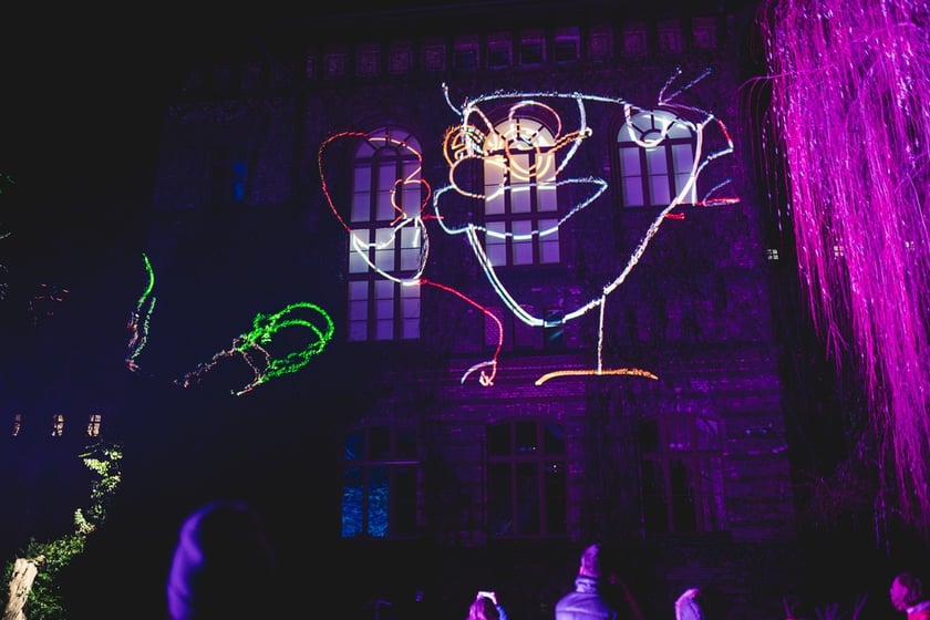 Na zdjęciu iluminacja Ogrodu Botanicznego we Wrocławiu w poprzednich latach