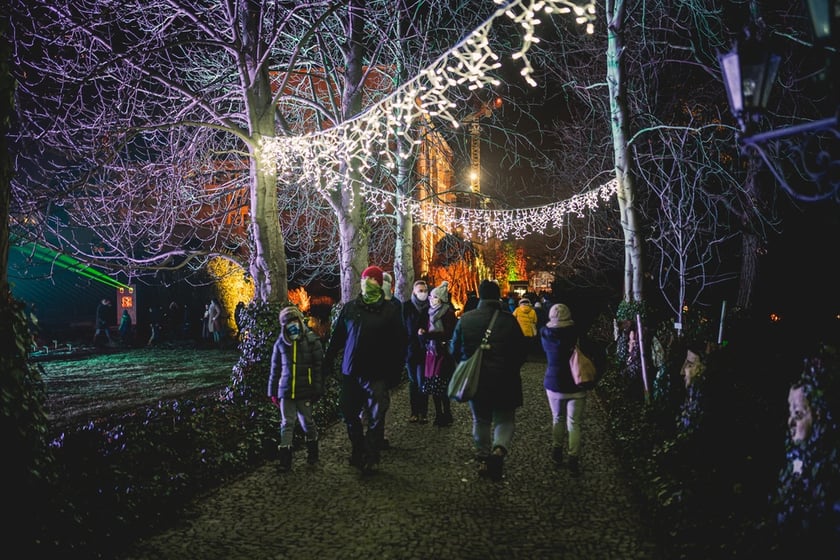 Na zdjęciu iluminacja Ogrodu Botanicznego we Wrocławiu w poprzednich latach
