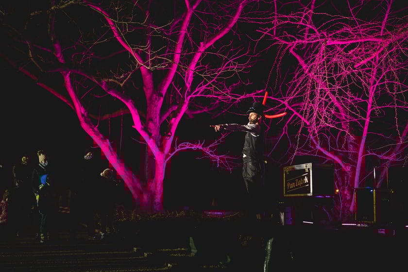 Na zdjęciu iluminacja Ogrodu Botanicznego we Wrocławiu w poprzednich latach