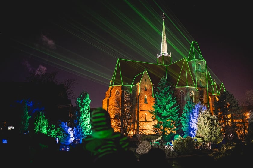 Na zdjęciu iluminacja Ogrodu Botanicznego we Wrocławiu w poprzednich latach