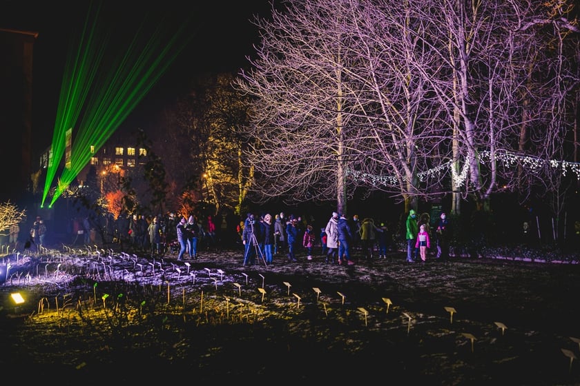 Na zdjęciu iluminacja Ogrodu Botanicznego we Wrocławiu w poprzednich latach