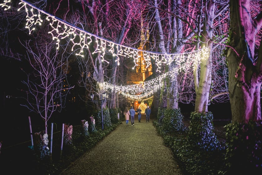 Na zdjęciu iluminacja Ogrodu Botanicznego we Wrocławiu w poprzednich latach