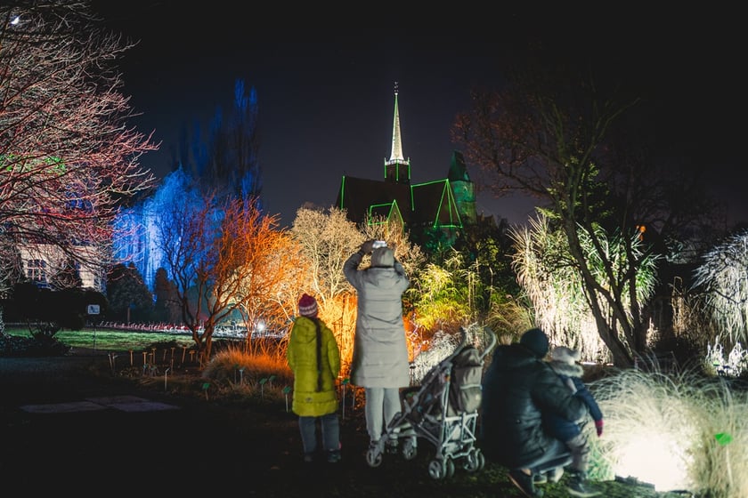 Na zdjęciu iluminacja Ogrodu Botanicznego we Wrocławiu w poprzednich latach