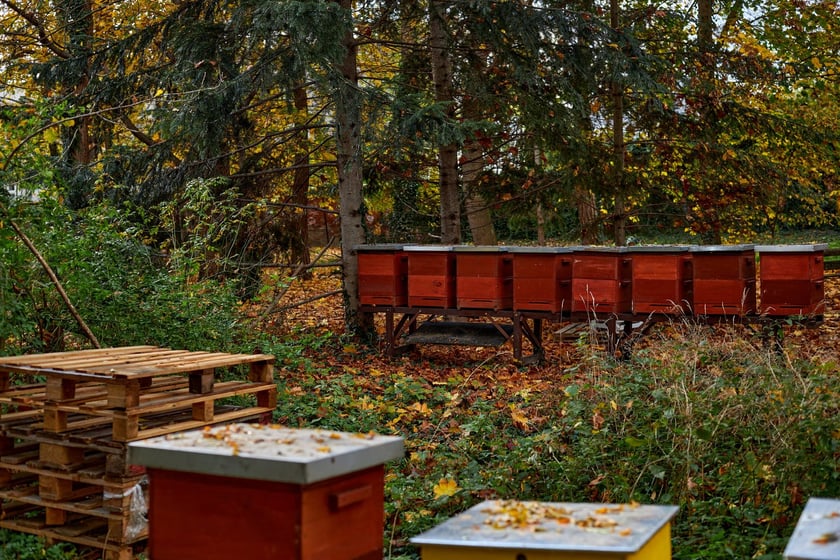 Klasztor franciszkanów na Karłowicach we Wrocławiu