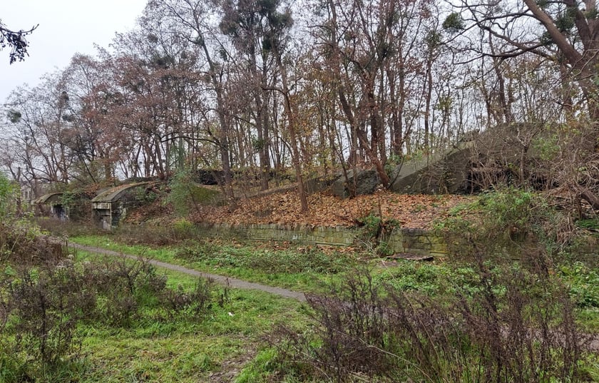 Ruiny bunkra przy ul. Skarbowców