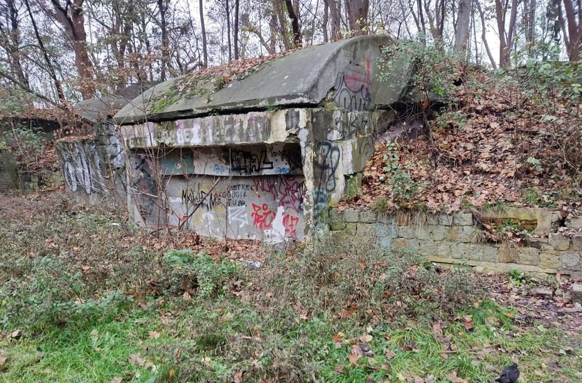 Ruiny bunkra przy ul. Skarbowców