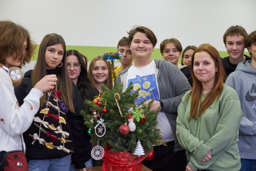 Ubieranie Drzewek Dobrych Życzeń w IV LO we Wrocławiu