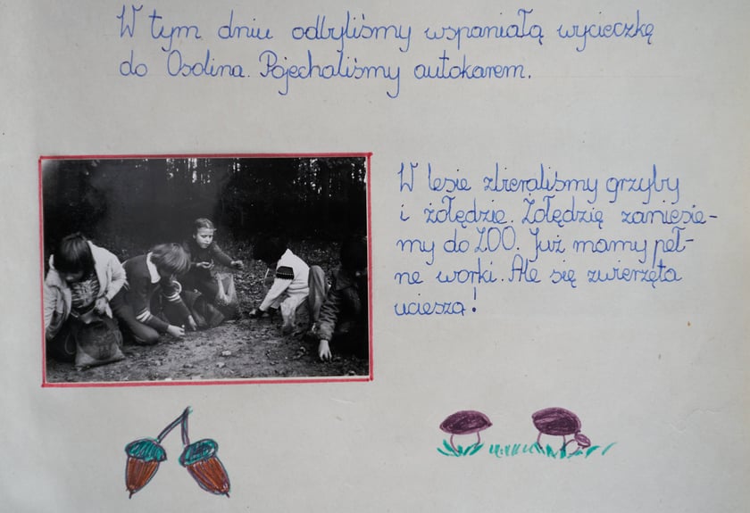 Zdjęcia z kronik szkolnych SP nr 97 we Wrocławiu