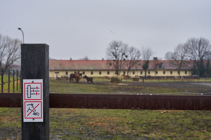 Oznaczenia w strefie dla koni informujące o płocie pod napięciem elektrycznym i zakazie karmienia koni&nbsp;